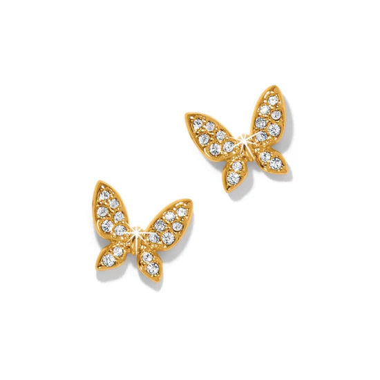 Smooth stud earrings-Brighton | Enchanting Butterfly Post Earrings in Gold